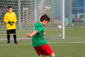 IMG 9531